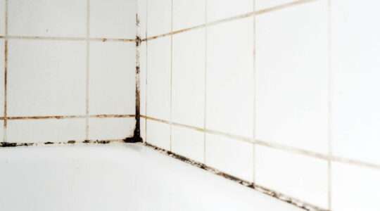 remove mould on tiles