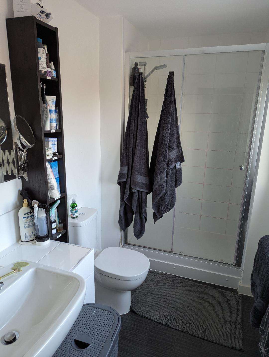 bathroom before renovation
